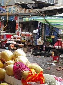 深圳菜市场爆料事件最新,食品安全问题引发公众关注 第2张 深圳菜市场爆料事件最新,食品安全问题引发公众关注 第2张